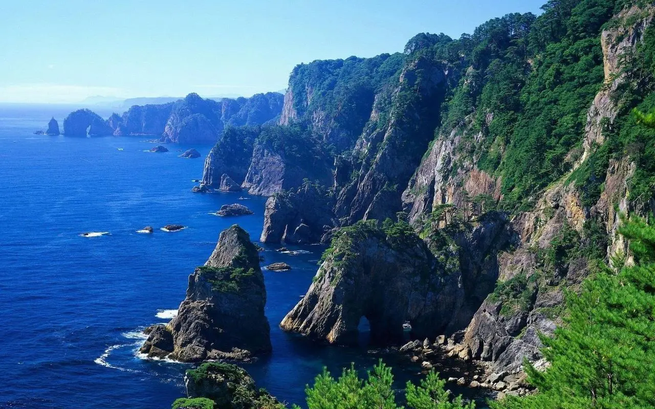 先进全自动高标准